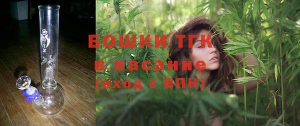 сатива Абдулино